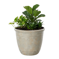 Locus 復古大型花盆 底部開孔 客廳植物花盆, 柔和象牙白, 1個