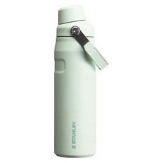 스탠리 아이스플로우 에어로라이트 패스트플로우 텀블러, 미스트, 710ml, 1개