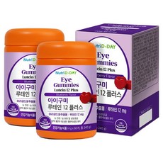 뉴트리디데이 아이구미 루테인 12 플러스, 60정, 2개
