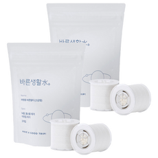 바른생활수 여행용 바른 샤워기필터 2p, 5개, 고급형