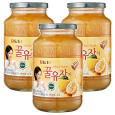 담터 꿀유자차, 1kg, 3개, 1개입