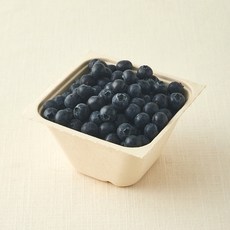 아주마 무농약 인증 산지직송 인디고 블루베리, 1개, 250g