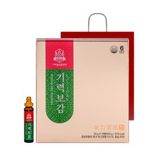 KOREA GINSENG 氣力寶鑑紅蔘濃縮飲 16入+提袋, 320g, 1個