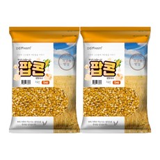 대구농산 건강한밥상 팝콘용 옥수수, 5kg, 2개