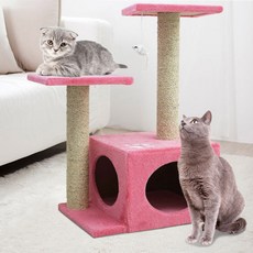 ASP 貓塔 INT-001, 粉色的