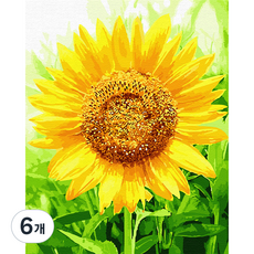 플레이어바웃 유화 피포페인팅 DIY 명화 그리기 40 x 50 cm 축복의 해바라기, 혼합색상, 6개