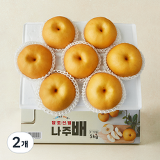 다복 당도선별 나주배, 2개, 5kg(6~10입)