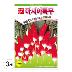 아시아종묘 아시아특무 씨앗 500p, 3개