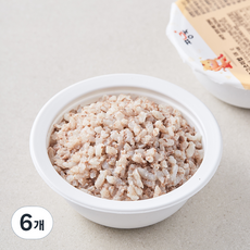 짱죽 완료기 13개월~ 이유식 한우고소미밥, 180g, 6개