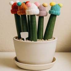 화분 장식 화분꾸미기 가든픽 스투키 방울모자 5p, 랜덤발송