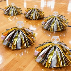 PARTYSHOW 啦啦隊應援綵球, 雙色金色, 5個