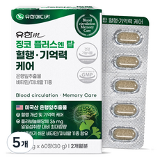 유한메디카 징코 플러스 엔 탑 혈행 기억력 케어, 60정, 5개