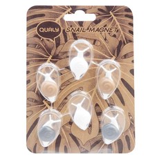 QUALy Snail Magnet 磁鐵 35 x 18 x 8mm 6個, 小蝸牛 多色, 1組