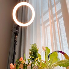 天使植物燈B, 1個