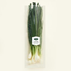 국내산 프리미엄 양대파, 300g, 1개