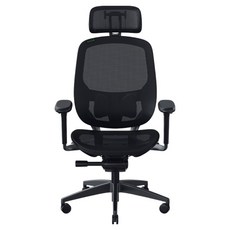 레이저 Fujin Pro 게이밍 의자 방문설치, 블랙