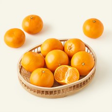 중문농협 당도선별 황제 천혜향, 1.8kg(소과, 9~12입), 1개