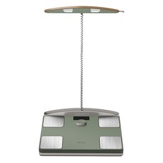 인바디 다이얼, H40NWi, 그린, 1개