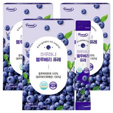 퍼니트 하루하나 블루베리 퓨레, 20g, 42개