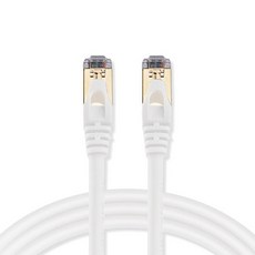 Anyport PLUS Premium 高級型網路線 STP 20M CAT7, 白色, 1條