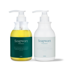 Raon Soap Water Soapful Shampoo 500ml + Treatment 500ml 套組, 1套