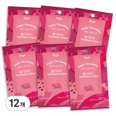 행복한쇼콜라띠에 홈베이킹 초콜렛 딸기 100g, 단품, 12개