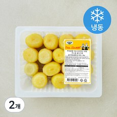 All바른농장 프레쉬팜 바로 갈아먹는 주스용 골드키위 (냉동), 2개, 2kg