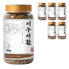 케이웰니스 지구자환, 6개, 280g