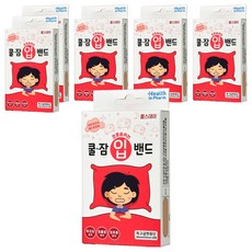 헬스데이 쿨잠 입밴드 입벌림방지 밴드 16p, 6개