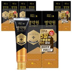 죽염 명약원 골든프로폴리스 잇몸 치약 플러스, 120g, 8개