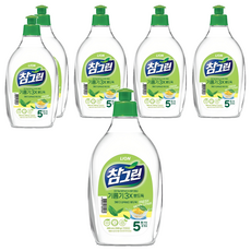 참그린 레몬 녹차 뽀드득 어드밴스 주방세제, 500g, 6개
