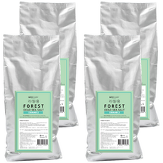 바스참 사해소금 포레스트 리필용, 1kg, 4개