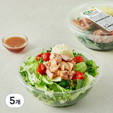 샐러드g 훈제오리구이 샐러드, 170g, 5개