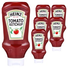 하인즈 토마토 케찹, 570g, 6개