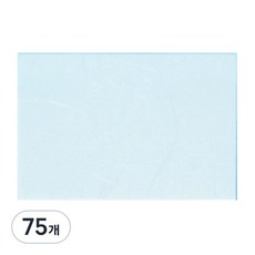 DOOSUNG PAPER 風 仁義禮智, 5個, 009(淺藍色)