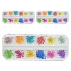 PANGPANGNo 乾燥花滿天星美甲飾品套組, 3個, 混色