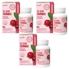 영진약품 더 리얼 크랜베리, 90정, 3개