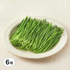 친환경 보리순, 50g, 6개