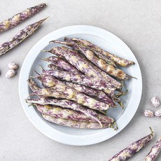 국내산 호랑이 콩, 500g, 1개