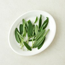 국내산 세이지, 1개, 10g