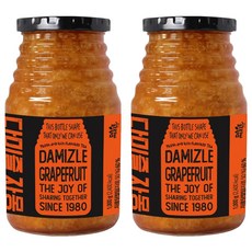 다미즐 자몽 액상차, 1kg, 1개입, 2개