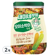 새미네부엌 오이소박이 양념, 120g, 2개