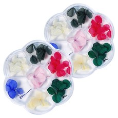 MEIBROWN 新款真花美甲壓花乾燥花組合 04, 混色, 2個