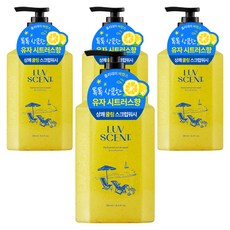 LUV SCENT Holiday Vacance 磨砂沐浴乳 柚子柑橘香, 4個, 500ml