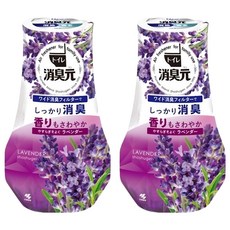 KOBAYASHI 小林製藥 消臭元 浴廁 消臭元 薰衣草, 400ml, 2瓶