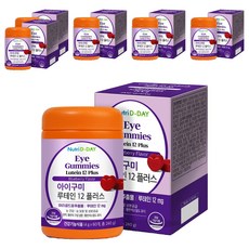 뉴트리디데이 아이구미 루테인 12 플러스, 60정, 6개