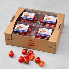 스테비아 토망고(대추방울), 500g, 4팩