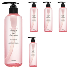 어퓨 라즈베리 식초 헤어 샴푸, 500ml, 5개