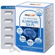 웰업 두뇌 기억력 인지력엔 포스파티딜세린 징코 PS, 1개, 60정