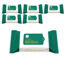 OLDam 女性私密護理濕巾 - 便攜式, 60g, 20張, 6包